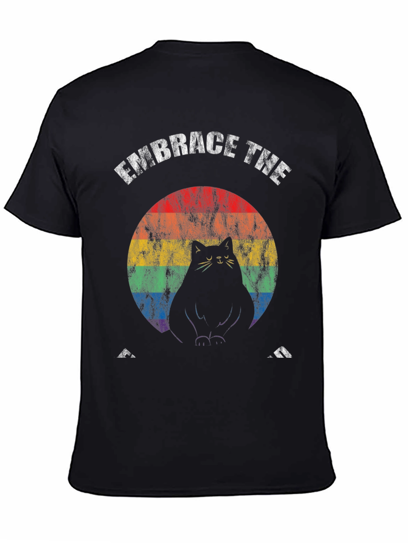 Embrace The Fat Cat Rainbow T-Shirt