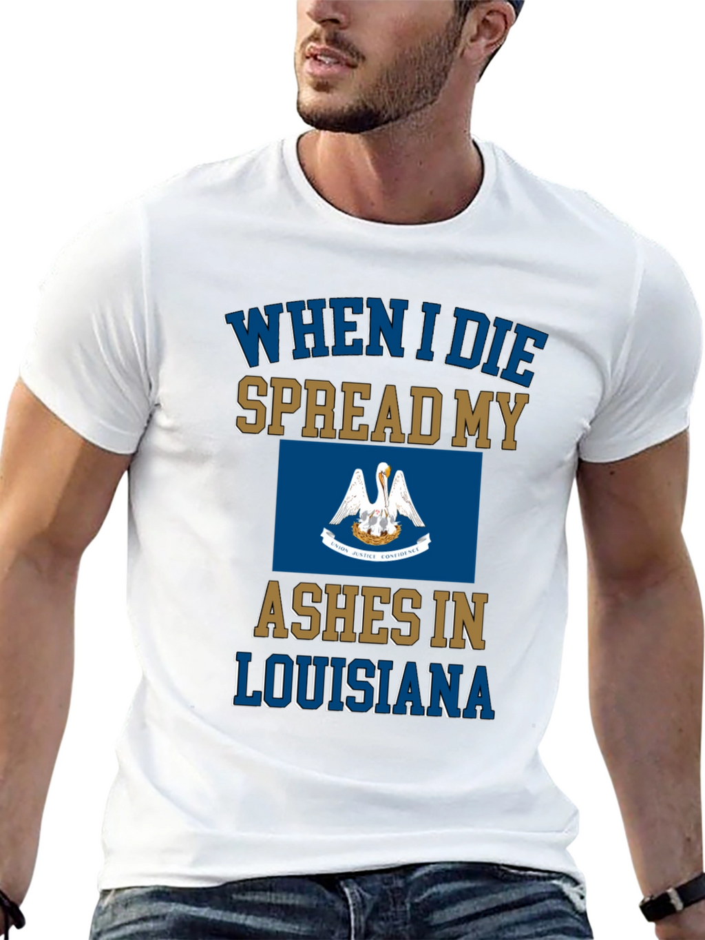 Louisiana Ashes T-Shirt Funny Novelty State Pride Tee