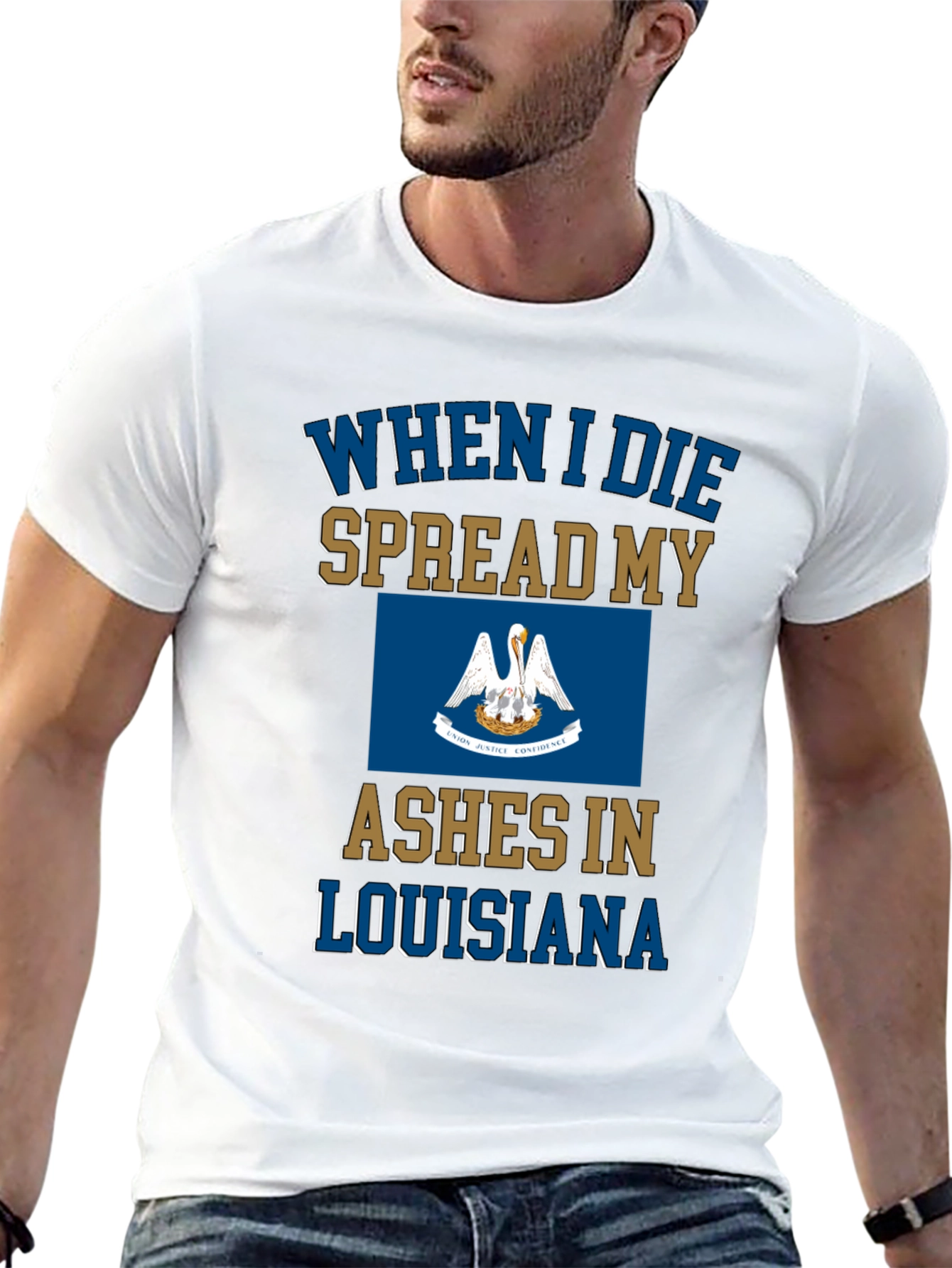 Louisiana Ashes T-Shirt Funny Novelty State Pride Tee