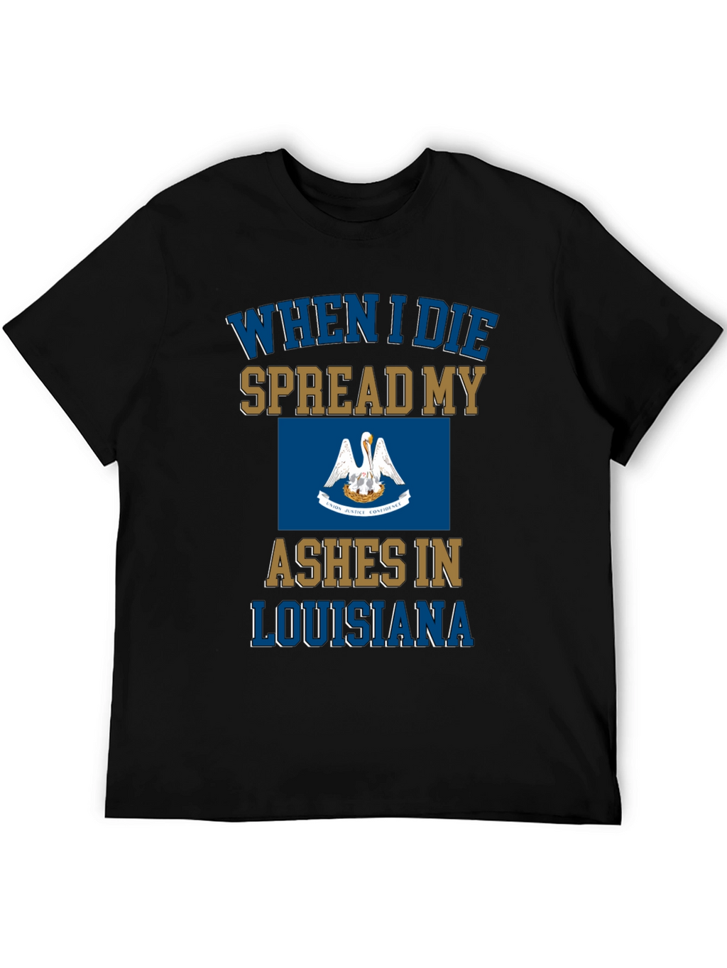 Louisiana Ashes T-Shirt Funny Novelty State Pride Tee