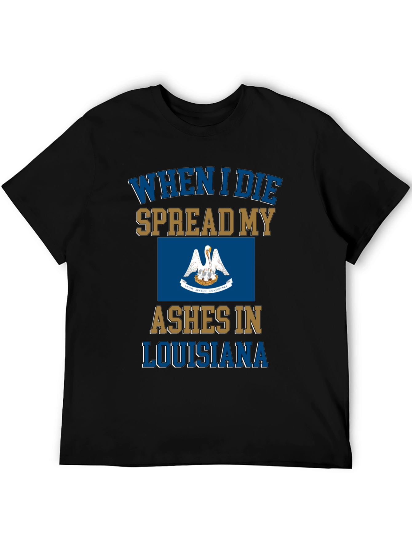 Louisiana Ashes T-Shirt Funny Novelty State Pride Tee