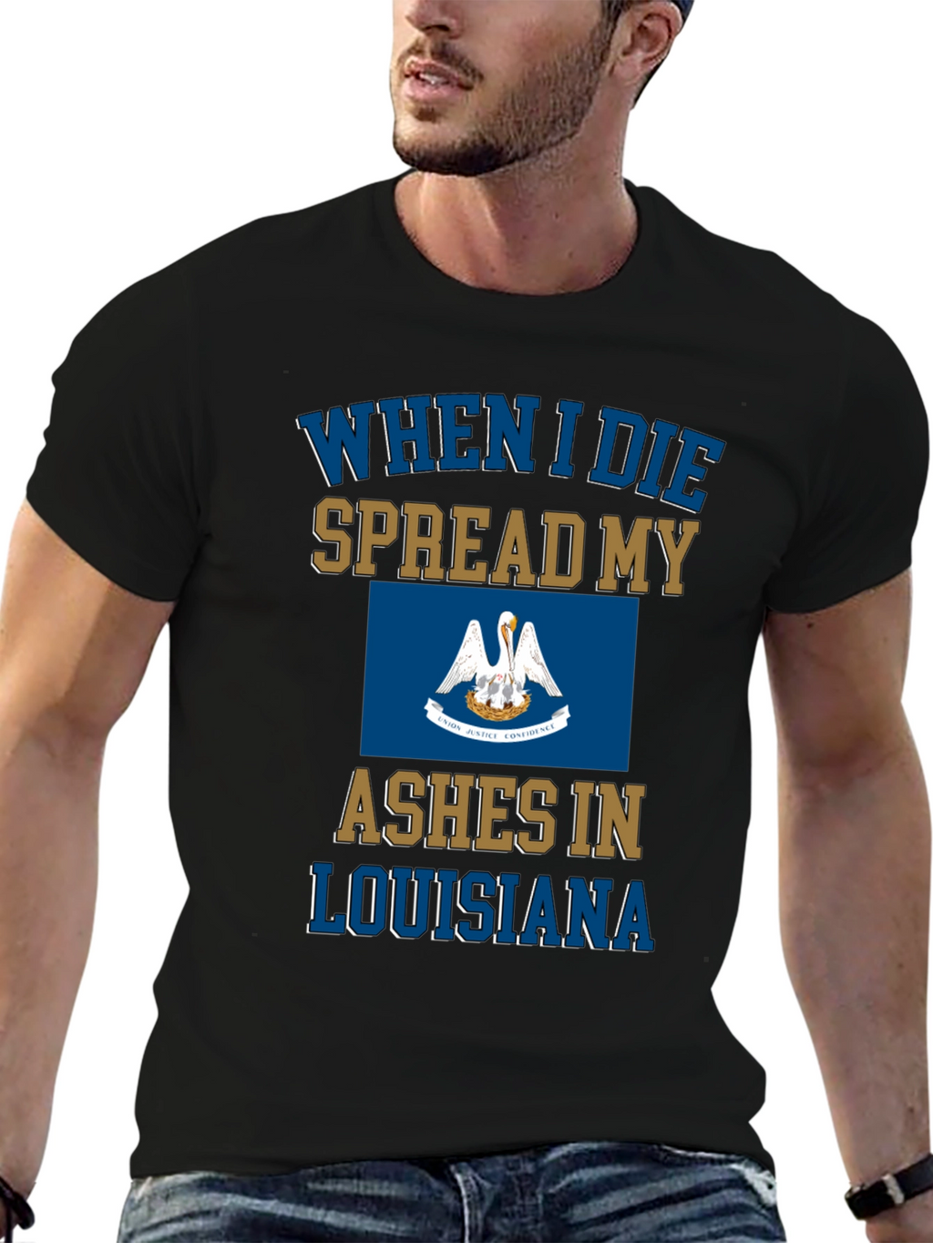 Louisiana Ashes T-Shirt Funny Novelty State Pride Tee