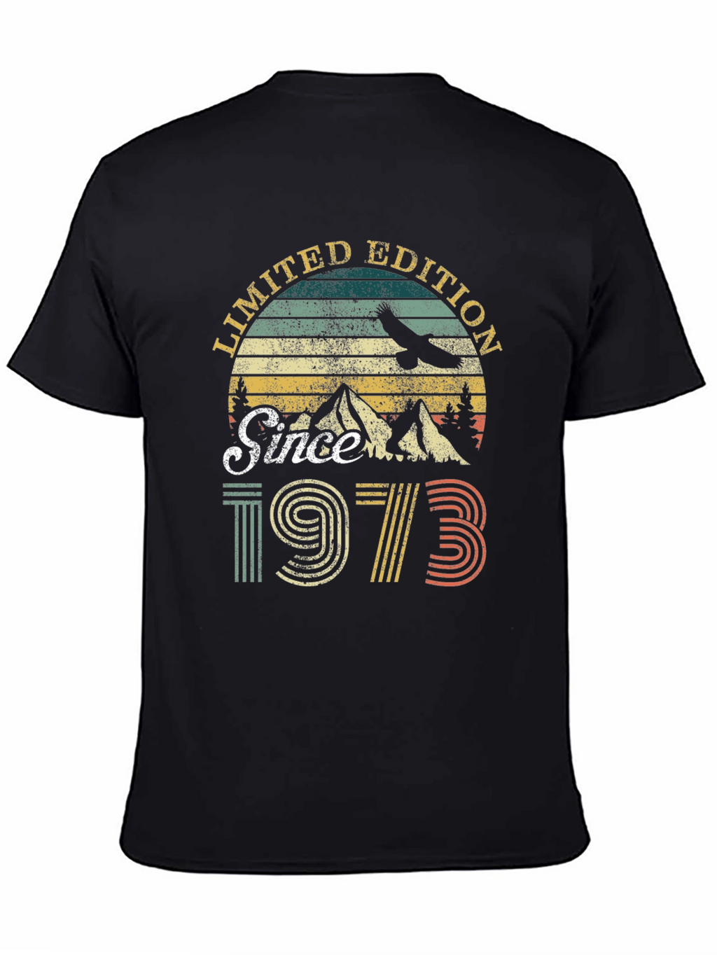 Limited Edition Since 1973 Graphic T-Shirt