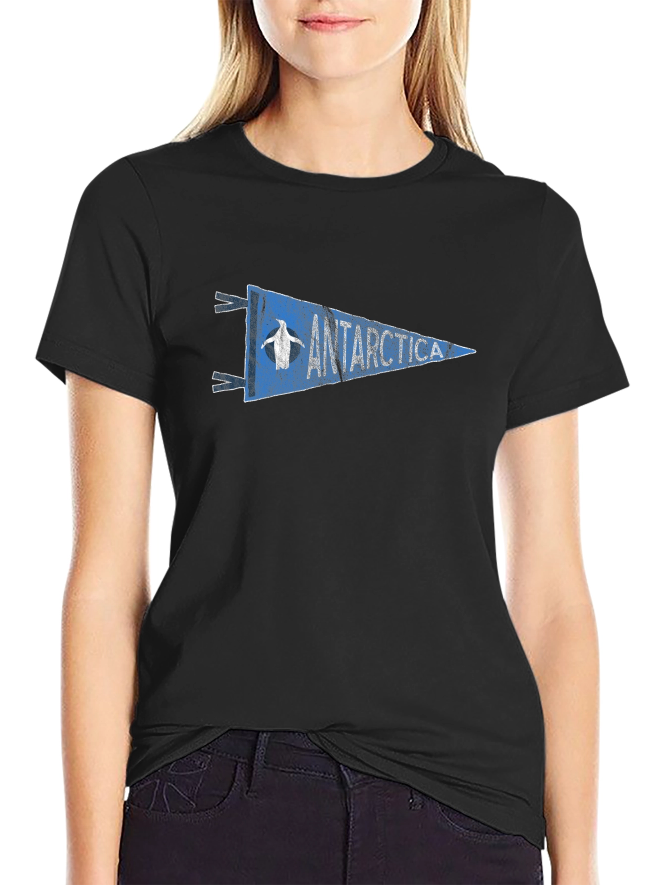 Antarctica Penguin Pennant Graphic Tee