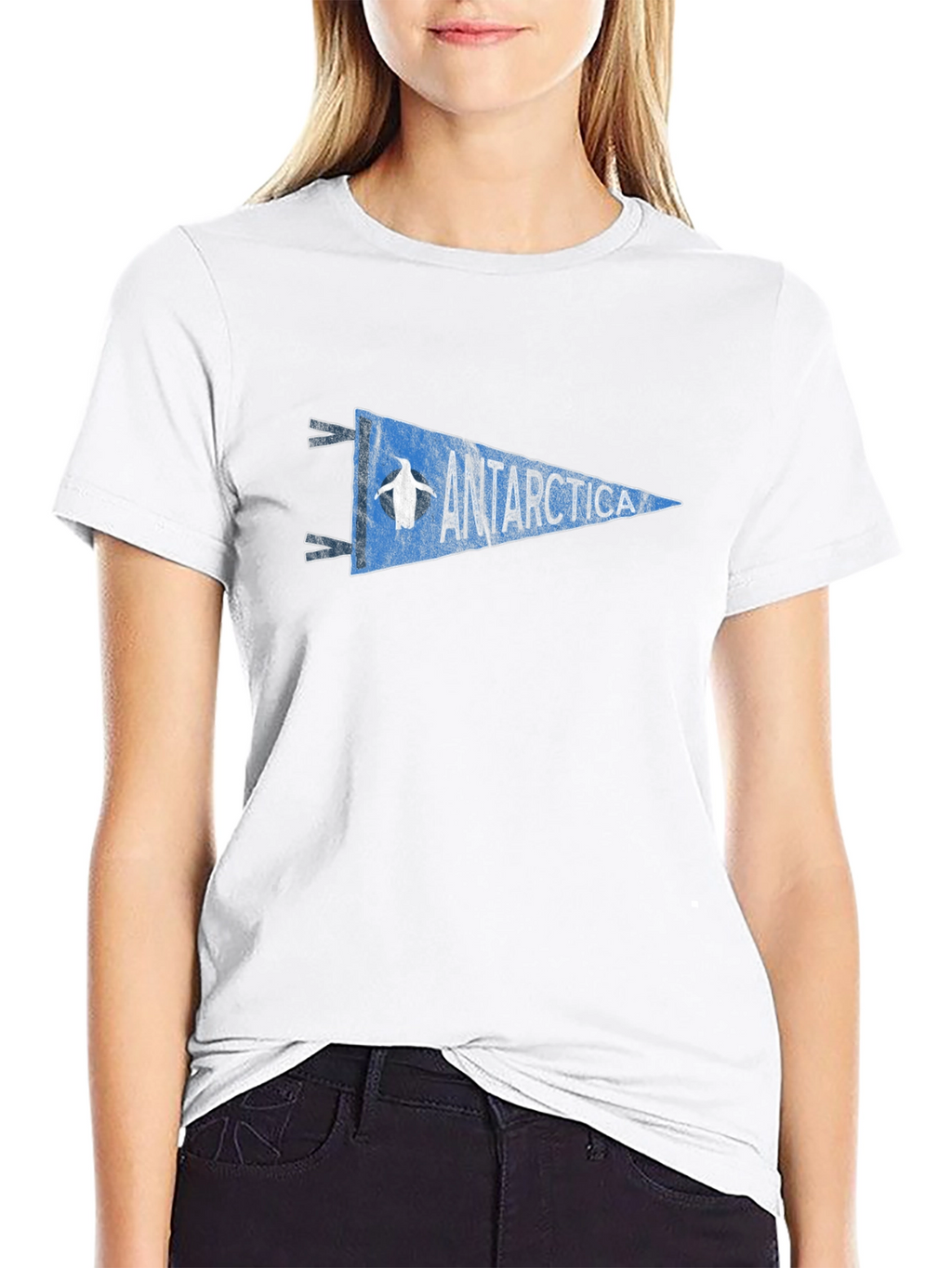 Antarctica Penguin Pennant Graphic Tee