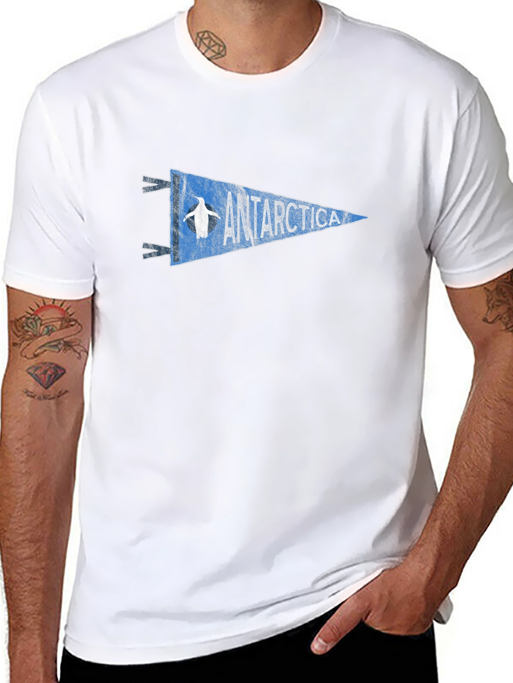 Antarctica Penguin Pennant Graphic Tee