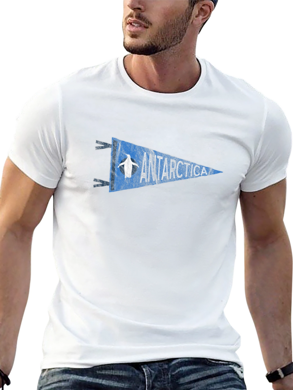 Antarctica Penguin Pennant Graphic Tee