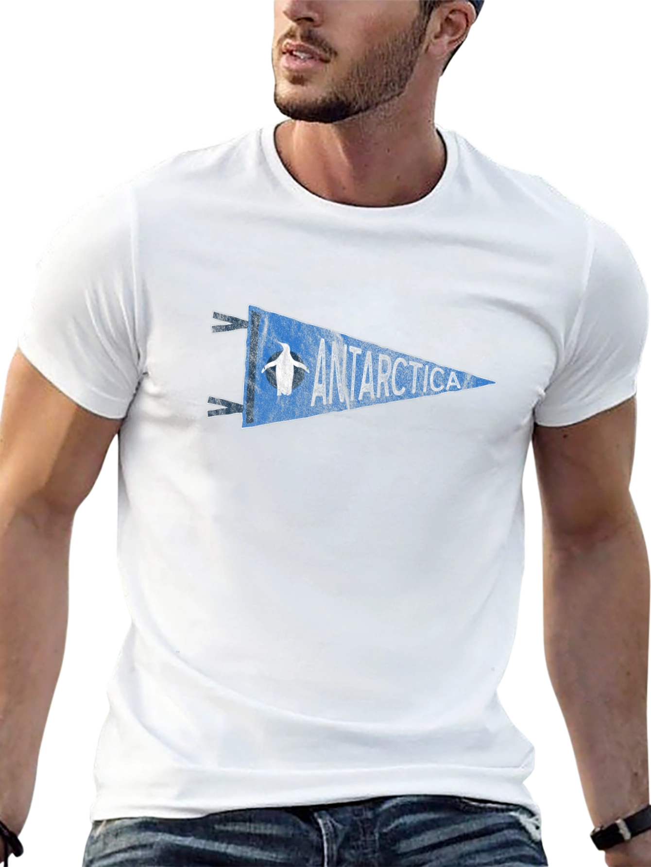 Antarctica Penguin Pennant Graphic Tee
