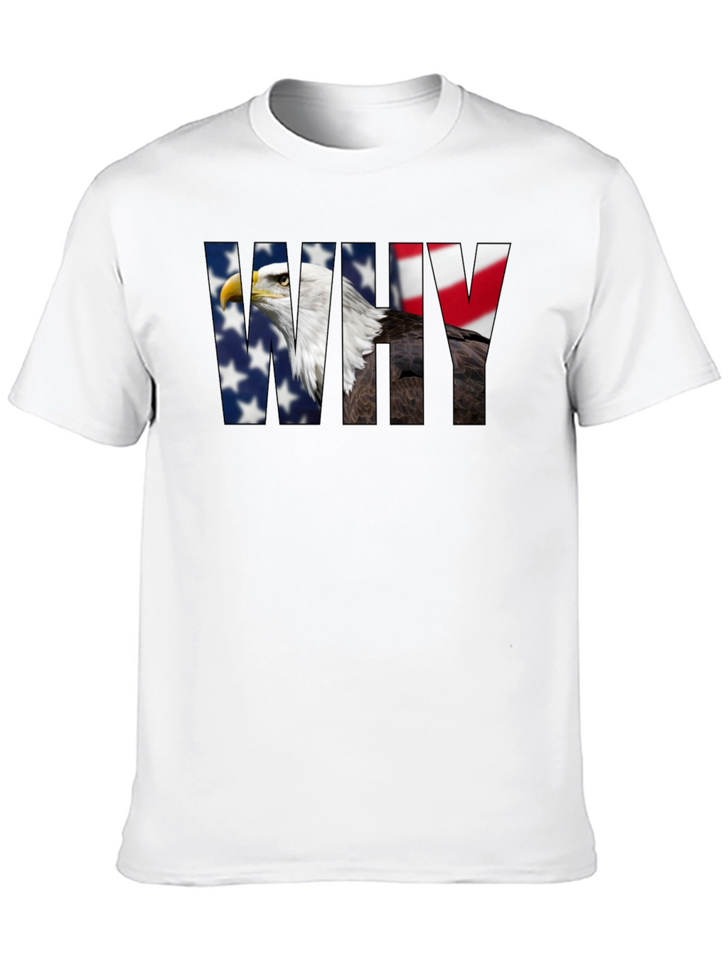 American Eagle WHY Graphic Print T-Shirt