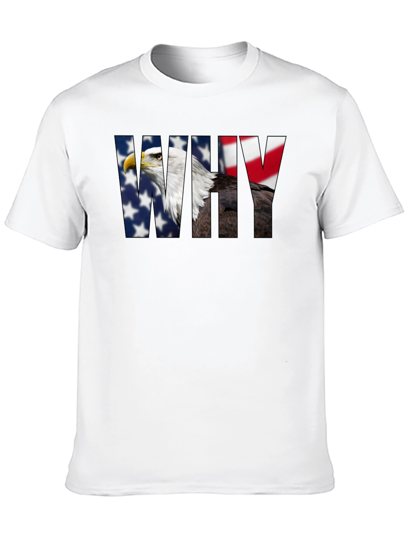 American Eagle WHY Graphic Print T-Shirt