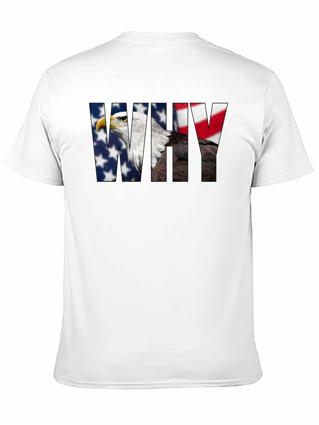 American Eagle WHY Graphic Print T-Shirt