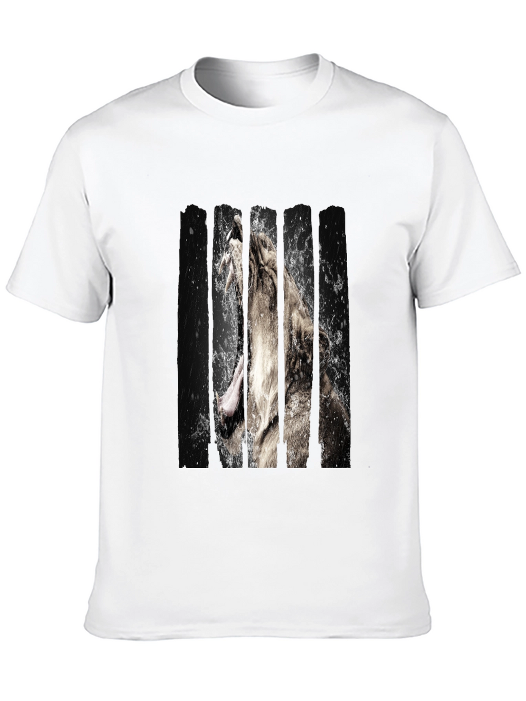 Lion Graphic Print Black Tee