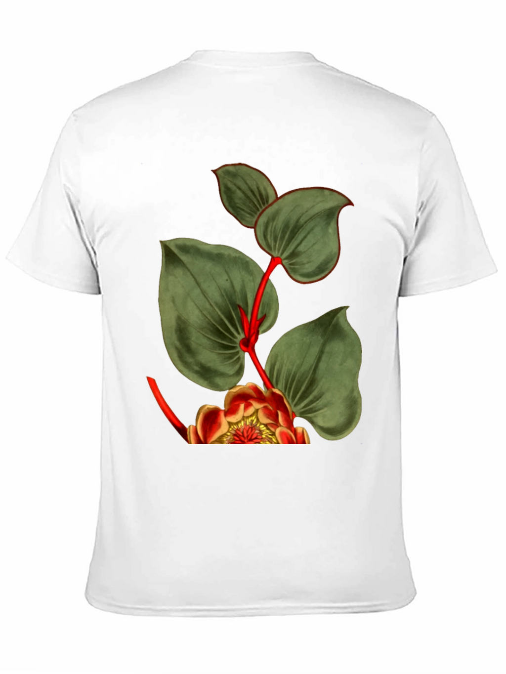 Botanical Graphic Black T-Shirt
