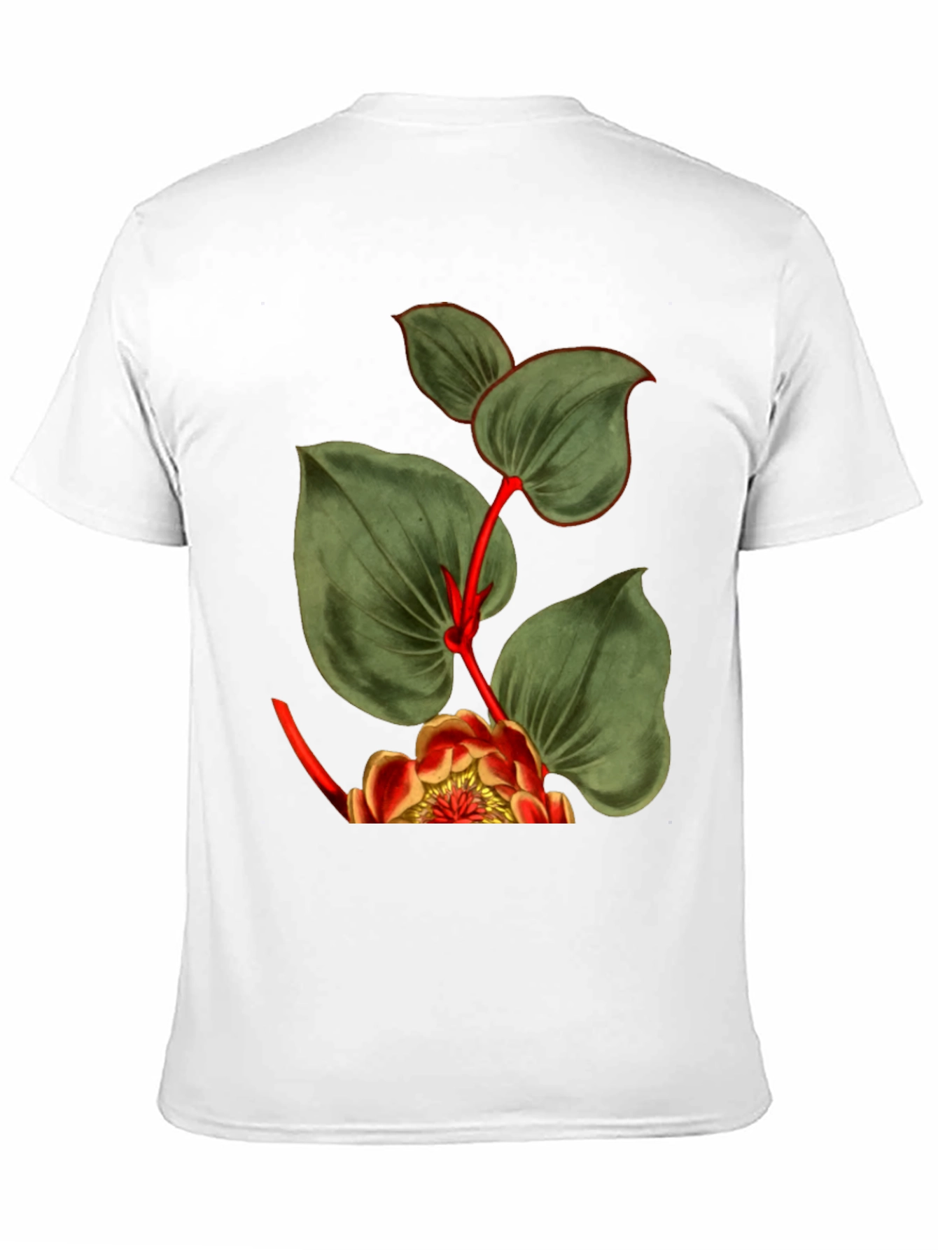 Botanical Graphic Black T-Shirt