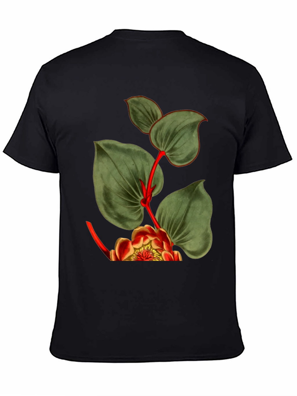 Botanical Graphic Black T-Shirt