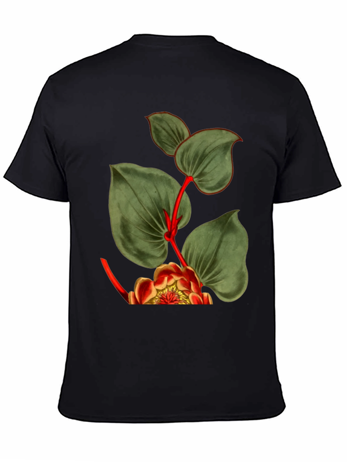 Botanical Graphic Black T-Shirt