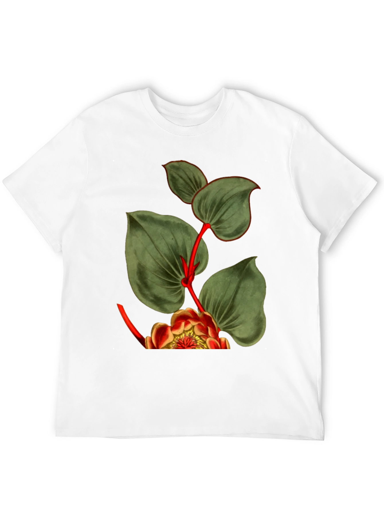 Botanical Graphic Black T-Shirt