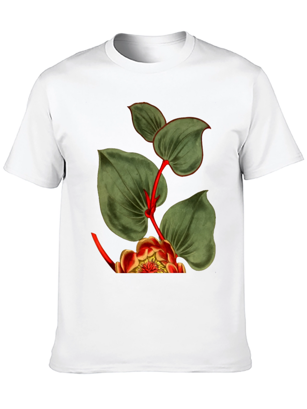 Botanical Graphic Black T-Shirt