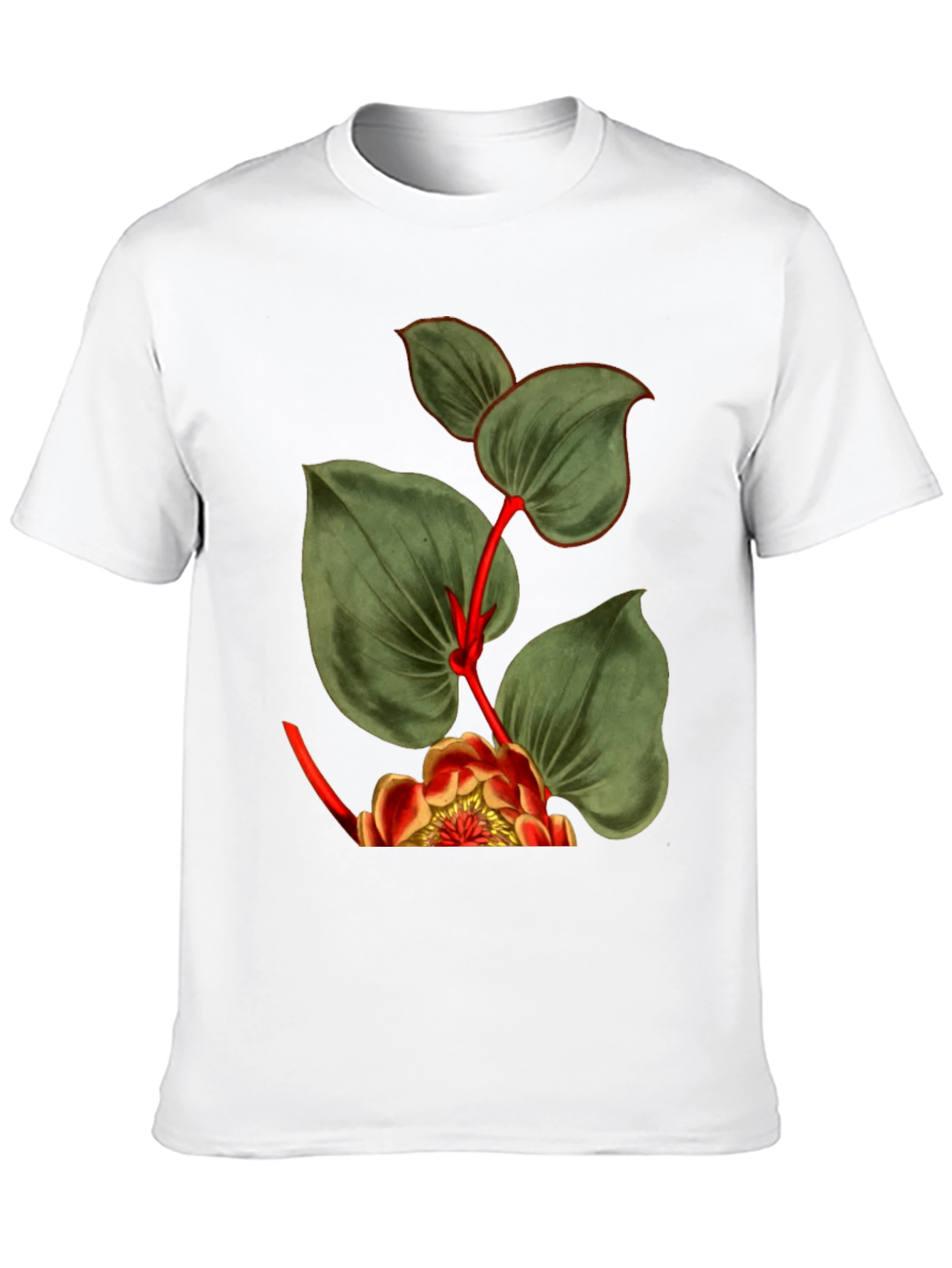Botanical Graphic Black T-Shirt