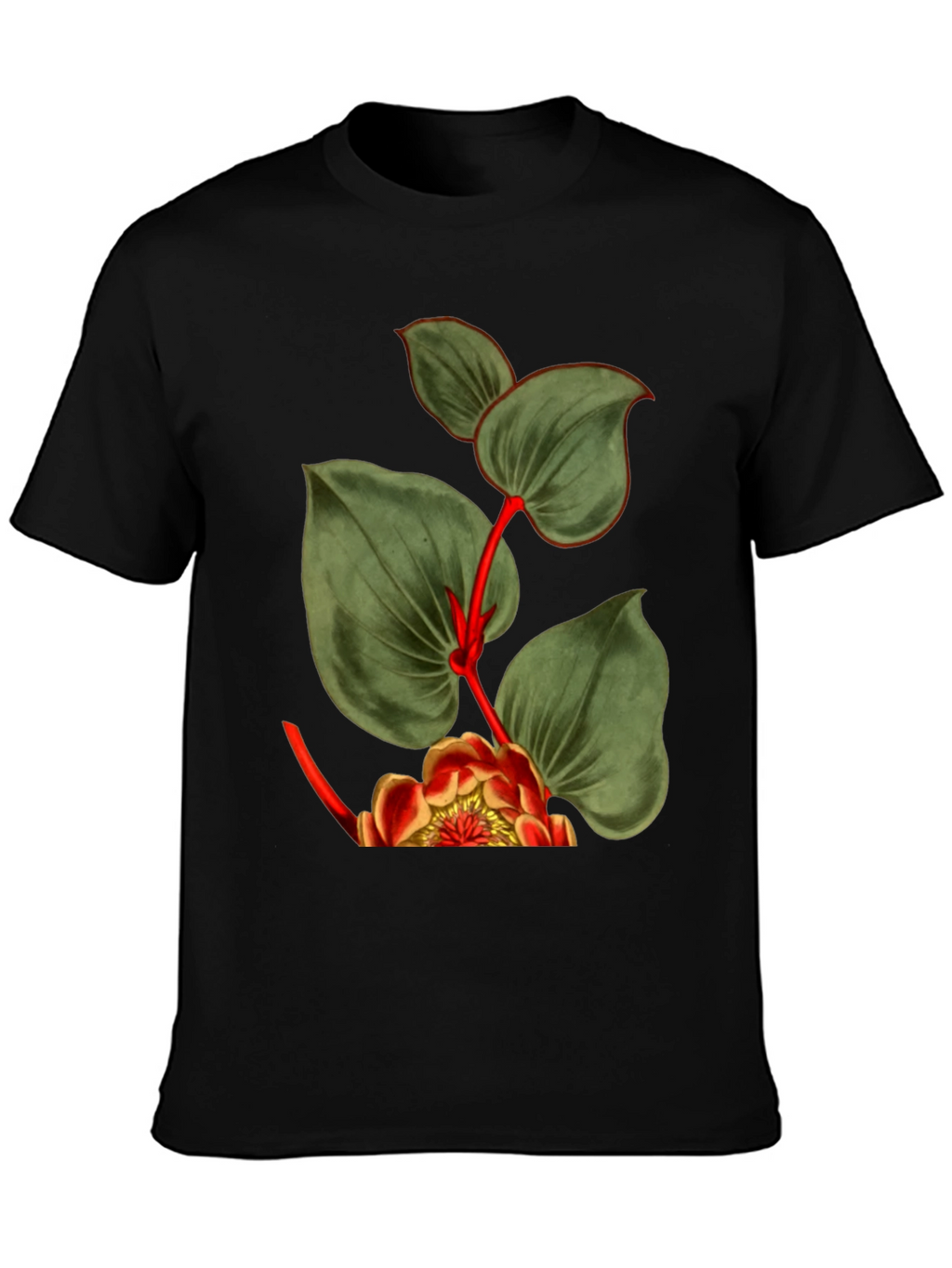 Botanical Graphic Black T-Shirt