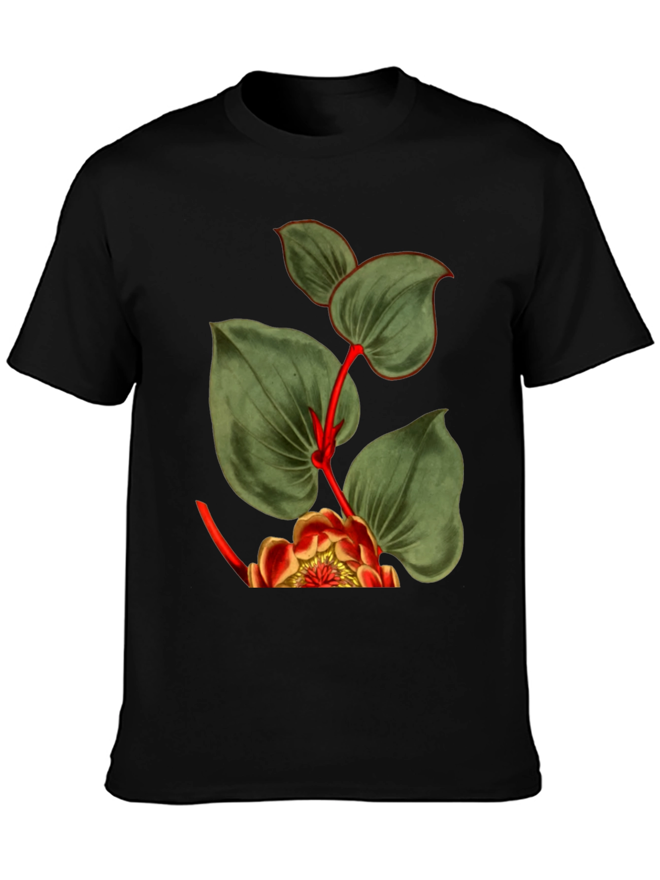 Botanical Graphic Black T-Shirt