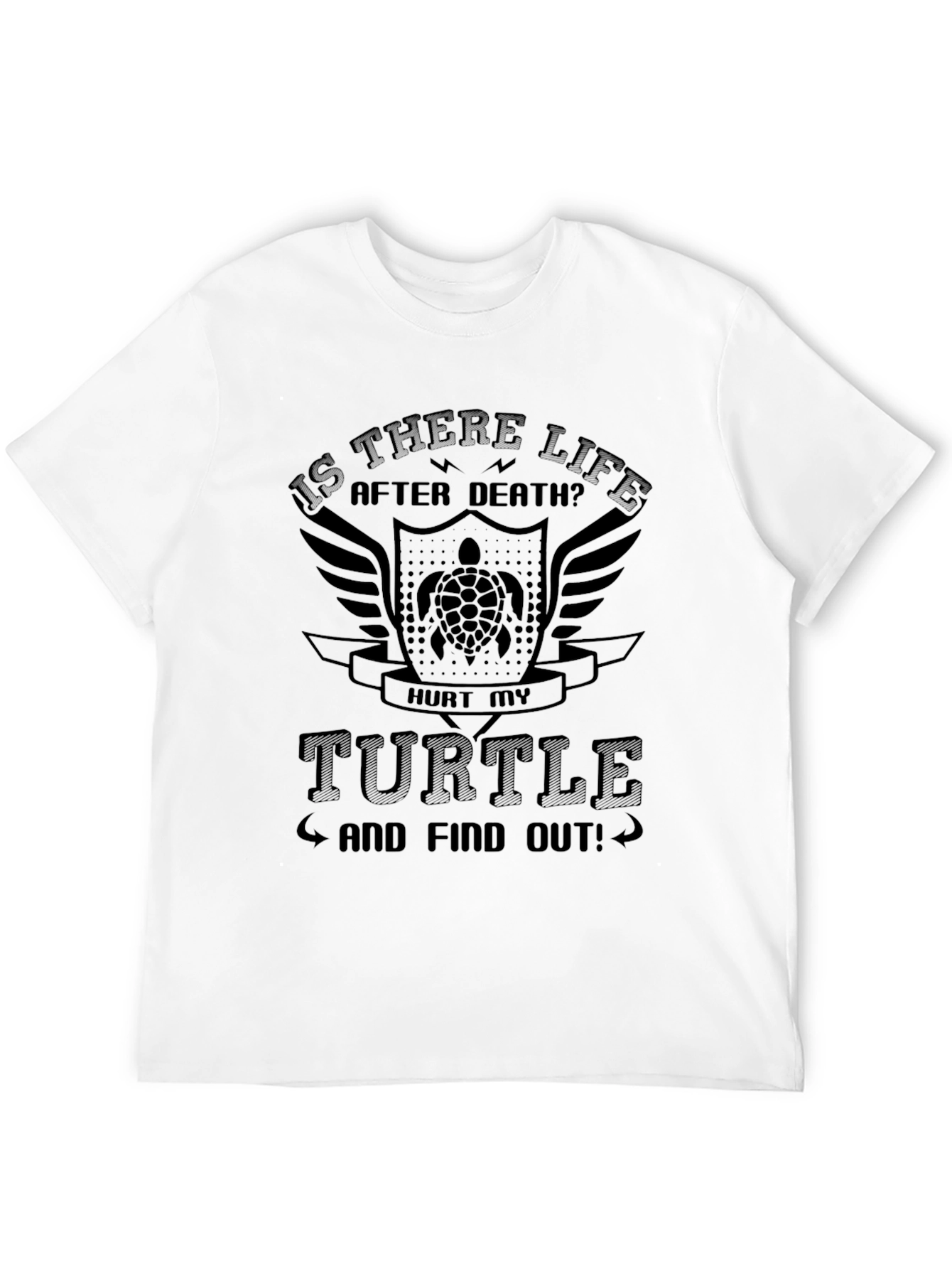 Is There Life After Death Turtle Graphic Tee