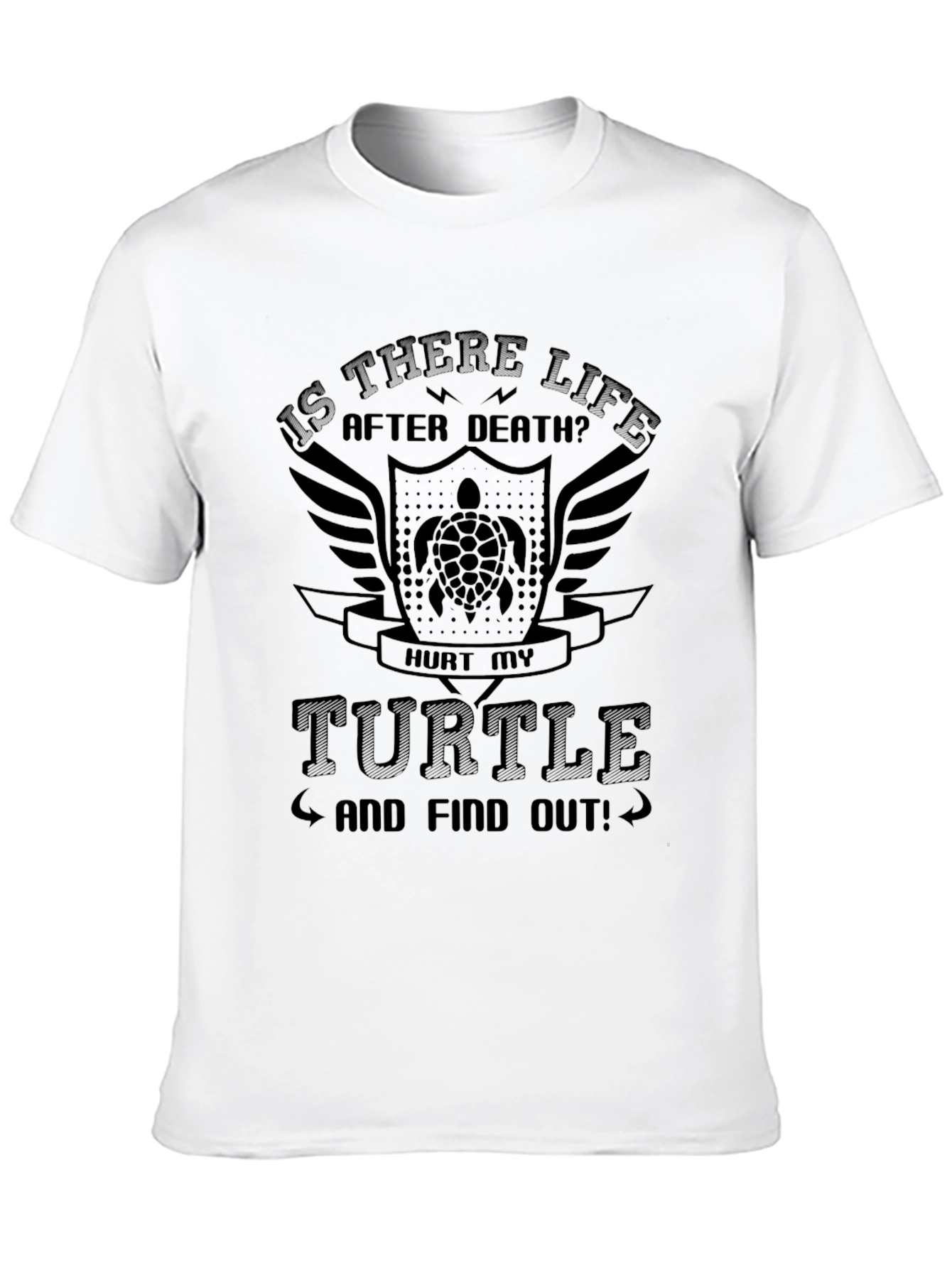 Is There Life After Death Turtle Graphic Tee