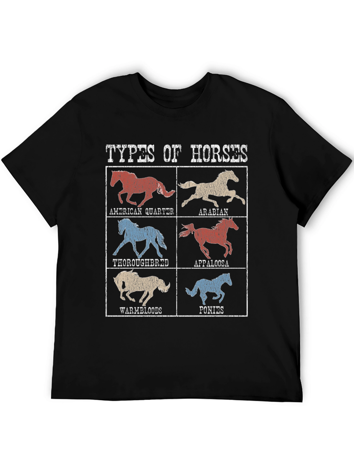 Types of Horses Graphic Tee