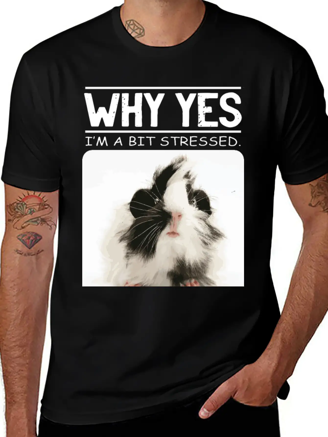A Bit Stressed Funny And Joker Gift Classic Cotton Tee – Unisex Comfort For Any Season