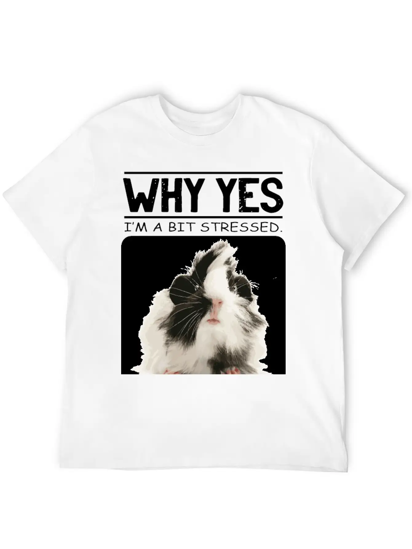 A Bit Stressed Funny And Joker Gift Classic Cotton Tee – Unisex Comfort For Any Season