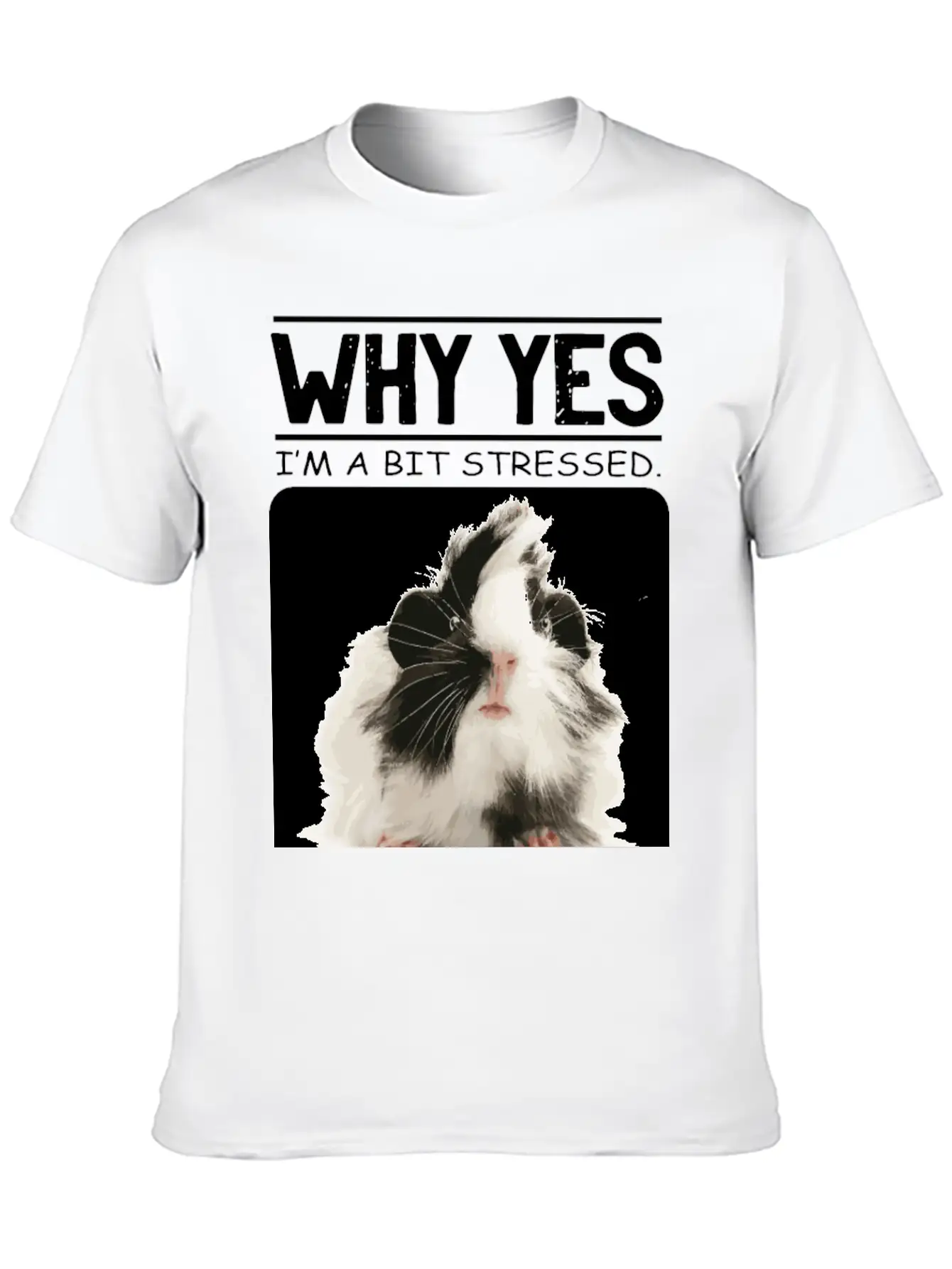 A Bit Stressed Funny And Joker Gift Classic Cotton Tee – Unisex Comfort For Any Season