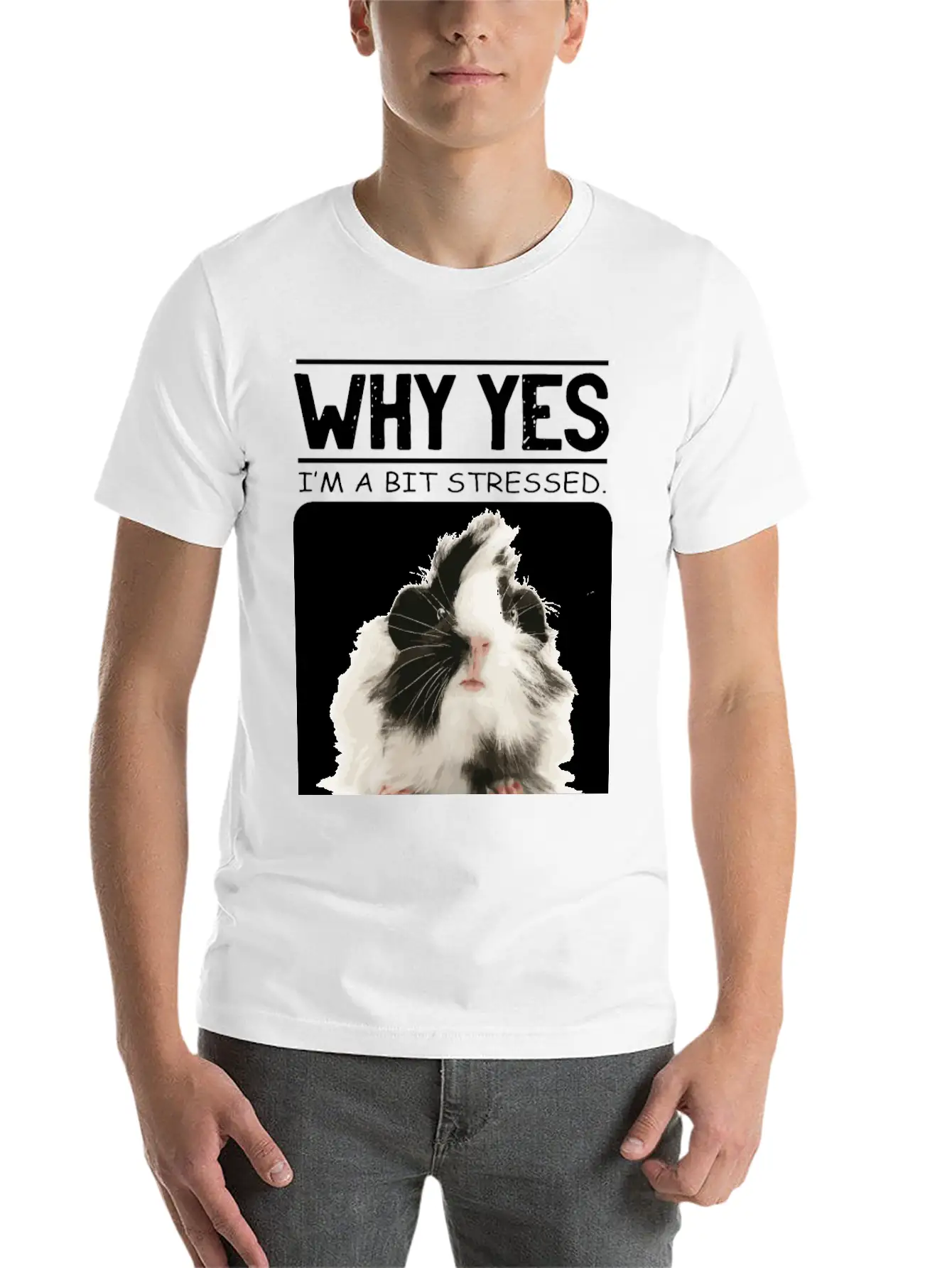 A Bit Stressed Funny And Joker Gift Classic Cotton Tee – Unisex Comfort For Any Season