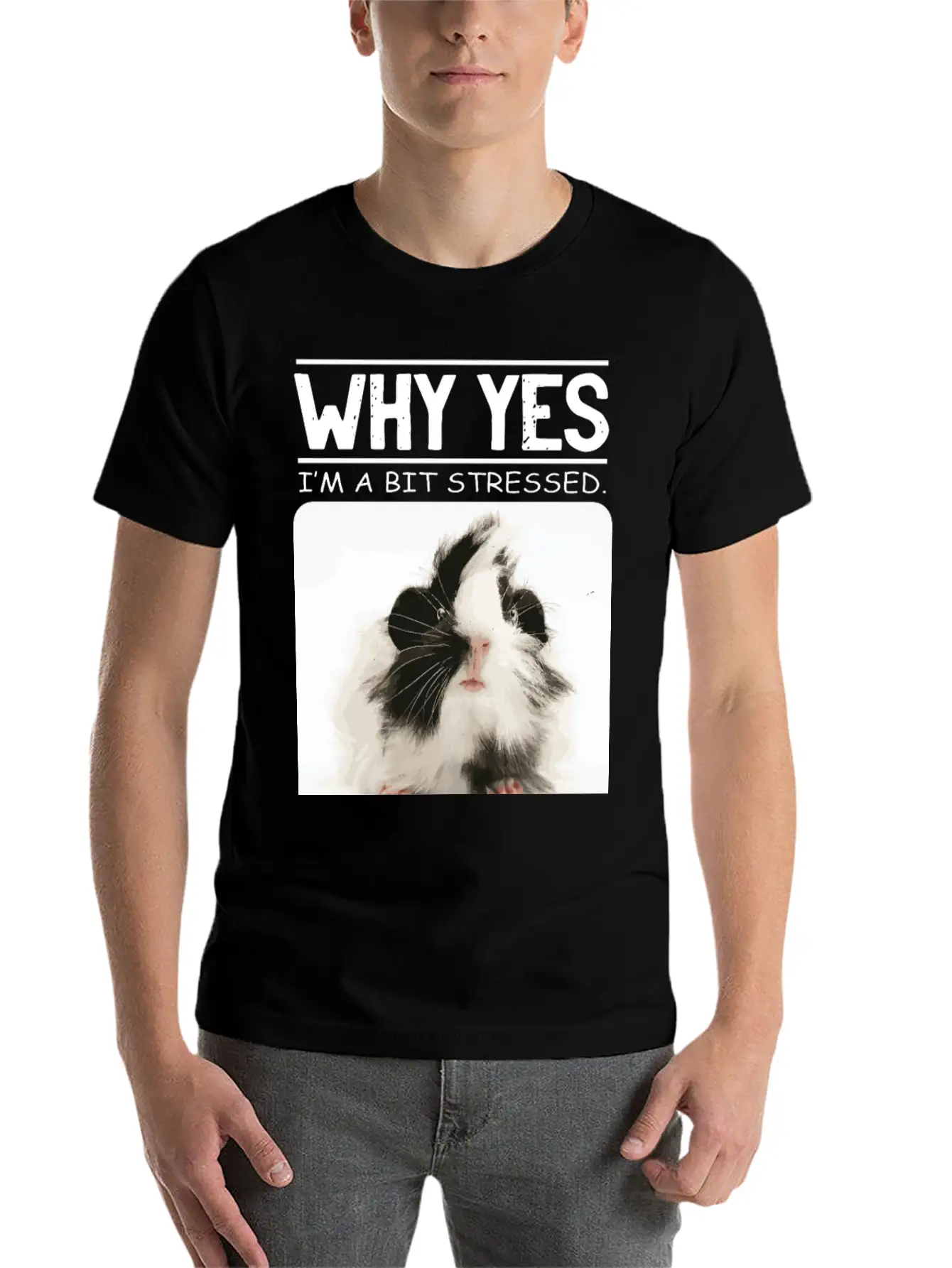 A Bit Stressed Funny And Joker Gift Classic Cotton Tee – Unisex Comfort For Any Season
