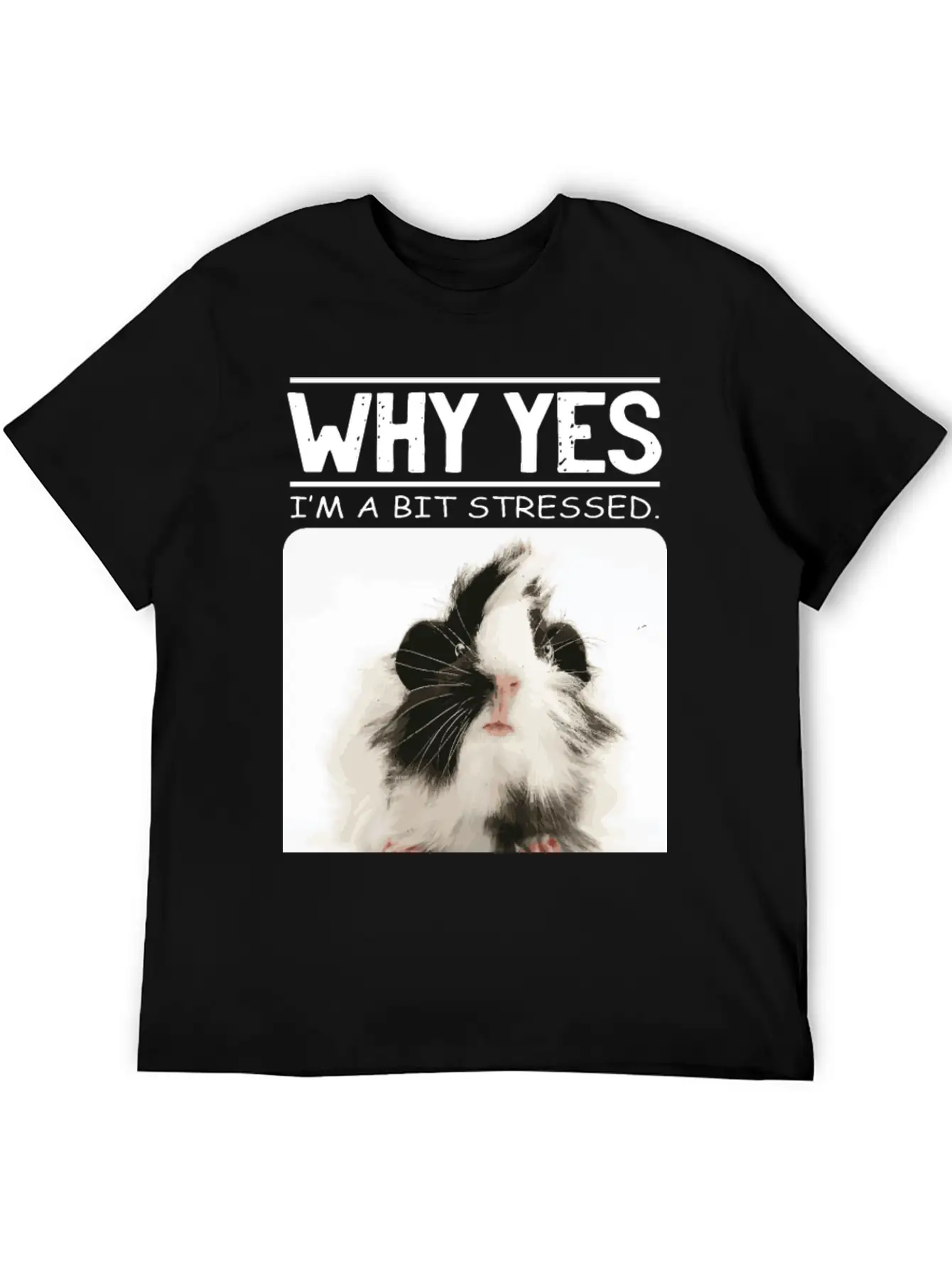 A Bit Stressed Funny And Joker Gift Classic Cotton Tee – Unisex Comfort For Any Season