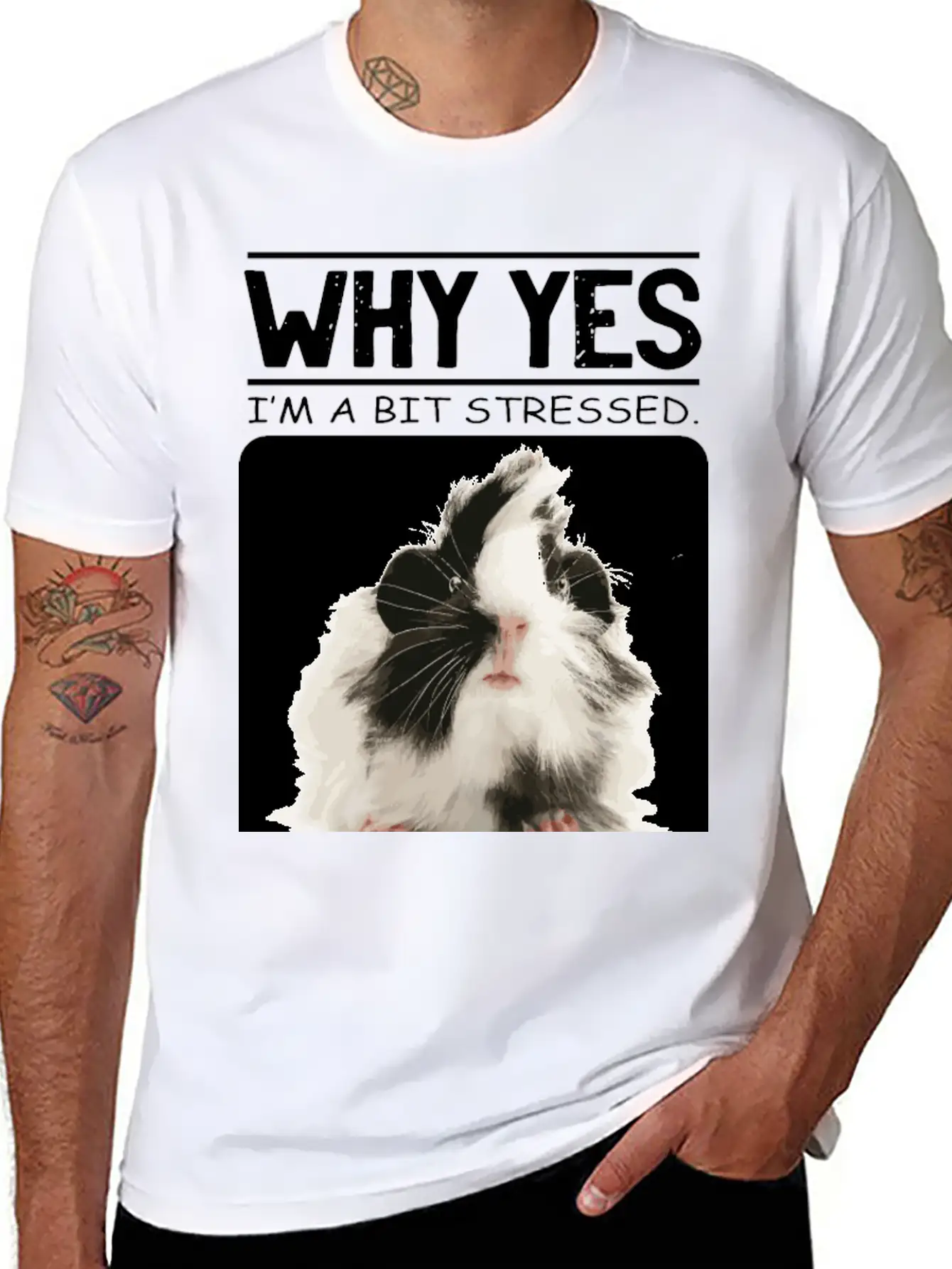 A Bit Stressed Funny And Joker Gift Classic Cotton Tee – Unisex Comfort For Any Season