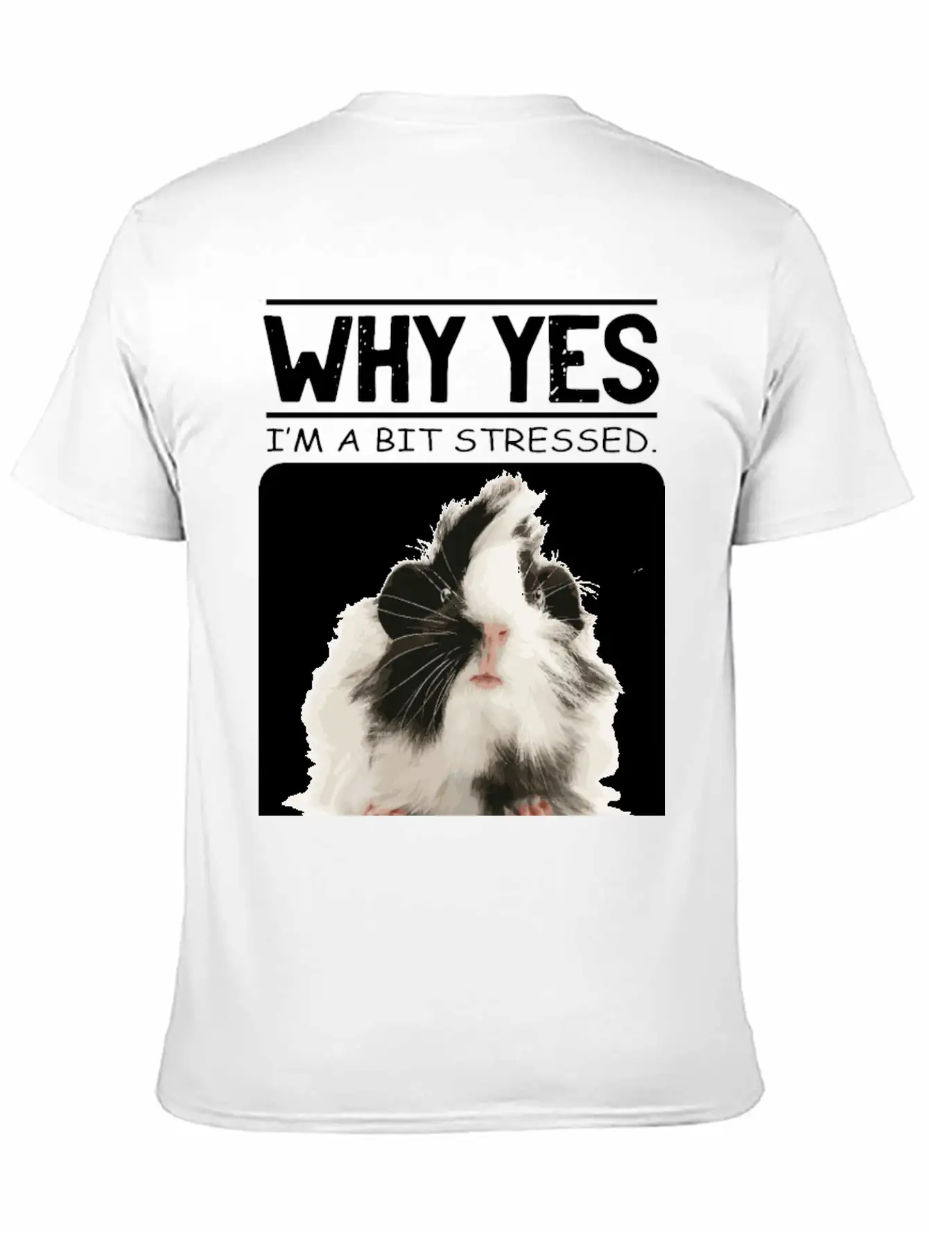 A Bit Stressed Funny And Joker Gift Classic Cotton Tee – Unisex Comfort For Any Season