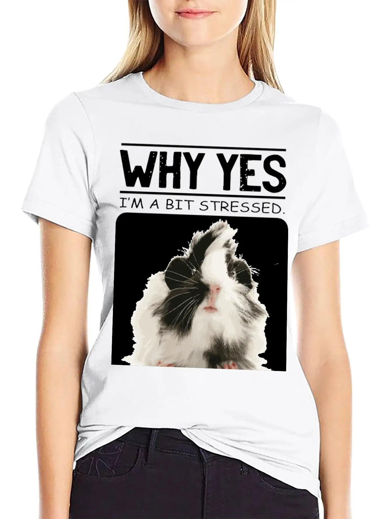 A Bit Stressed Funny And Joker Gift Classic Cotton Tee – Unisex Comfort For Any Season