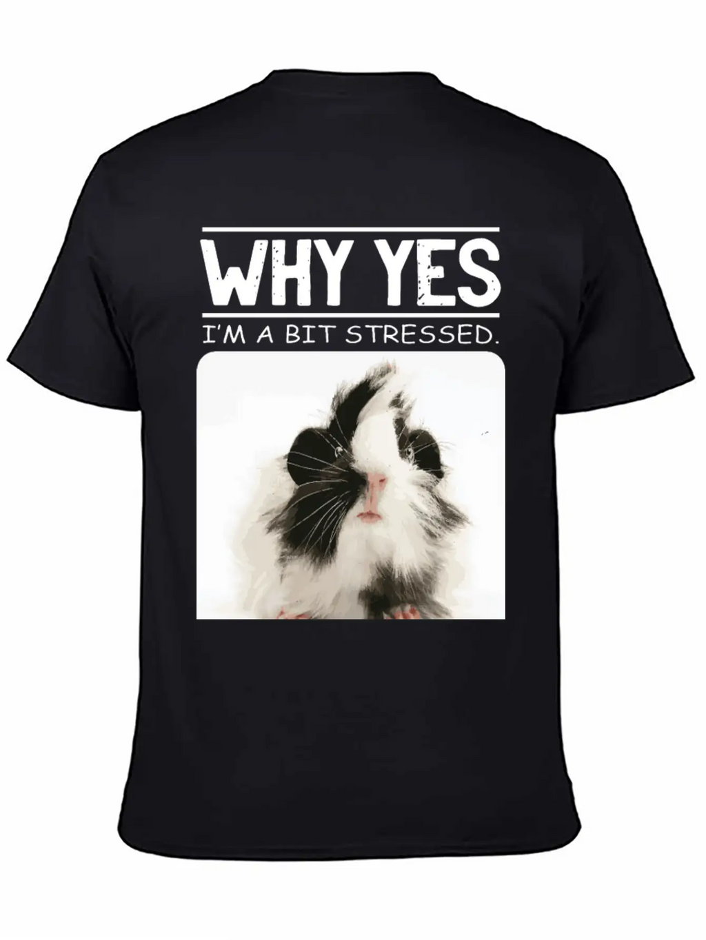 A Bit Stressed Funny And Joker Gift Classic Cotton Tee – Unisex Comfort For Any Season