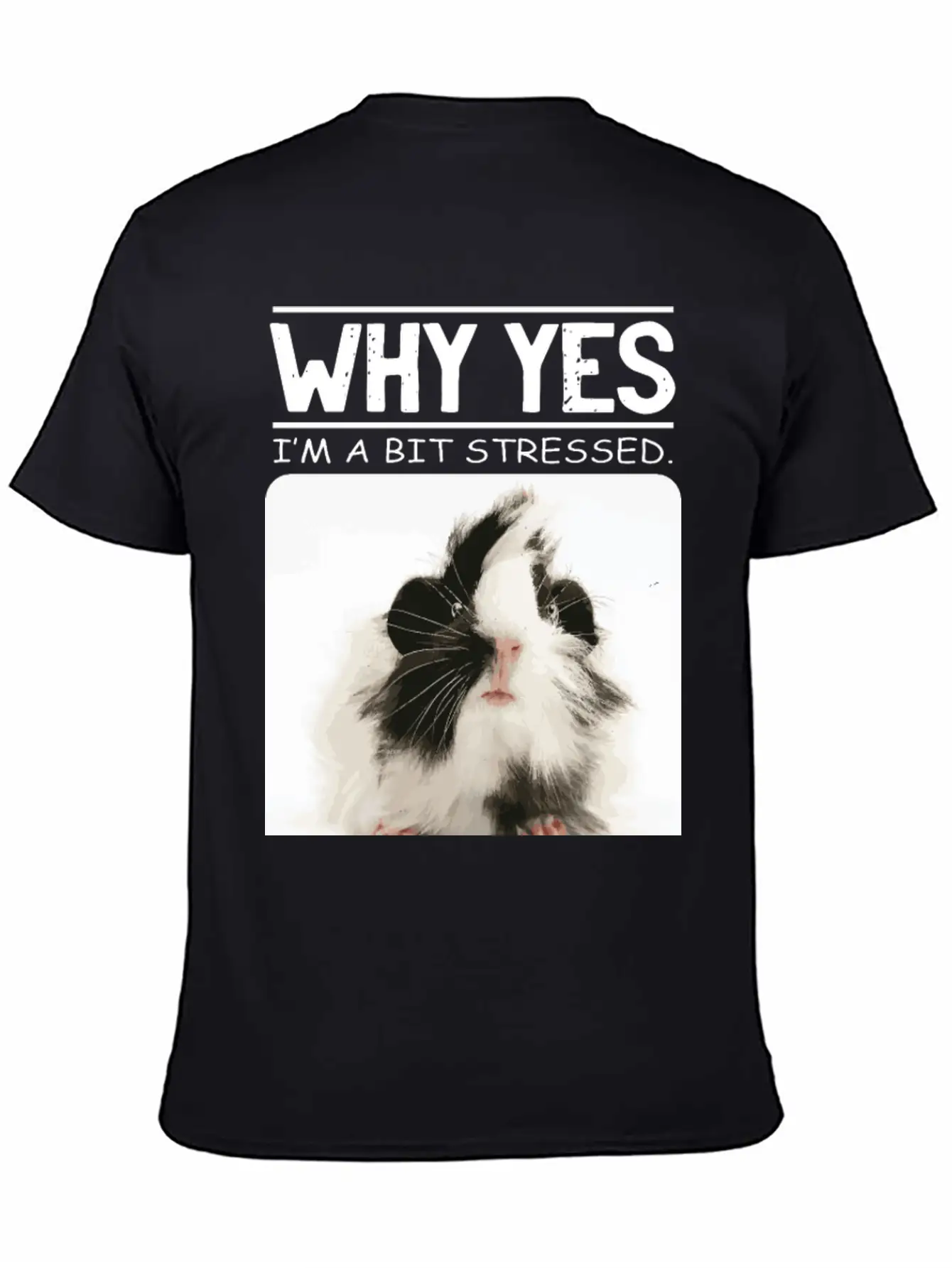 A Bit Stressed Funny And Joker Gift Classic Cotton Tee – Unisex Comfort For Any Season