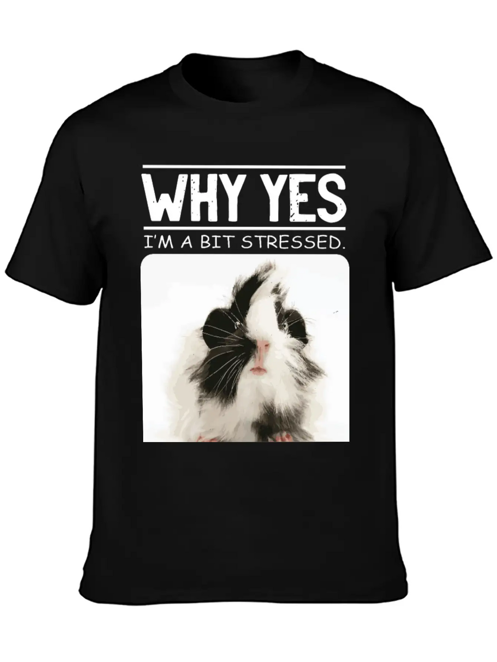 A Bit Stressed Funny And Joker Gift Classic Cotton Tee – Unisex Comfort For Any Season