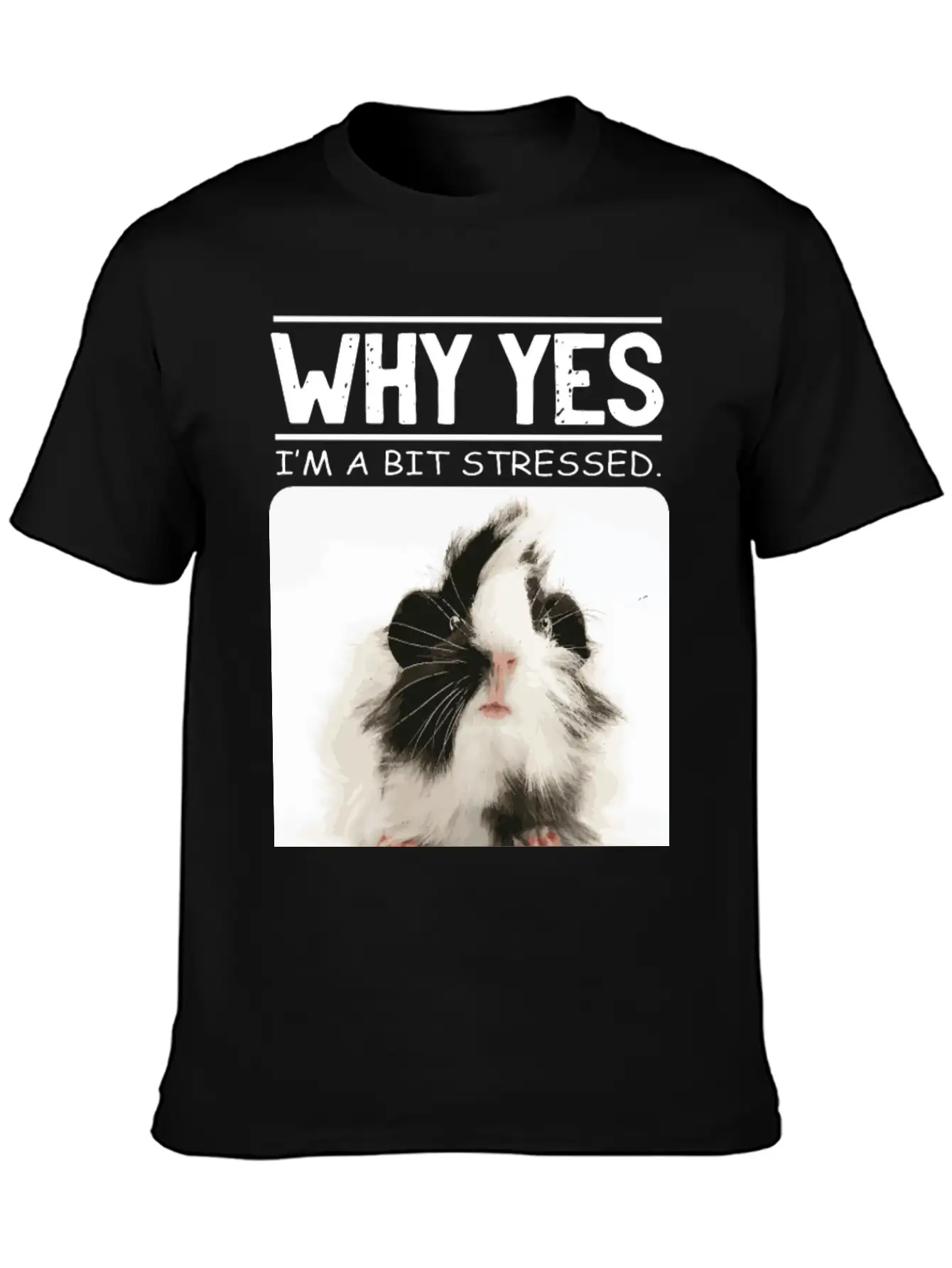 A Bit Stressed Funny And Joker Gift Classic Cotton Tee – Unisex Comfort For Any Season