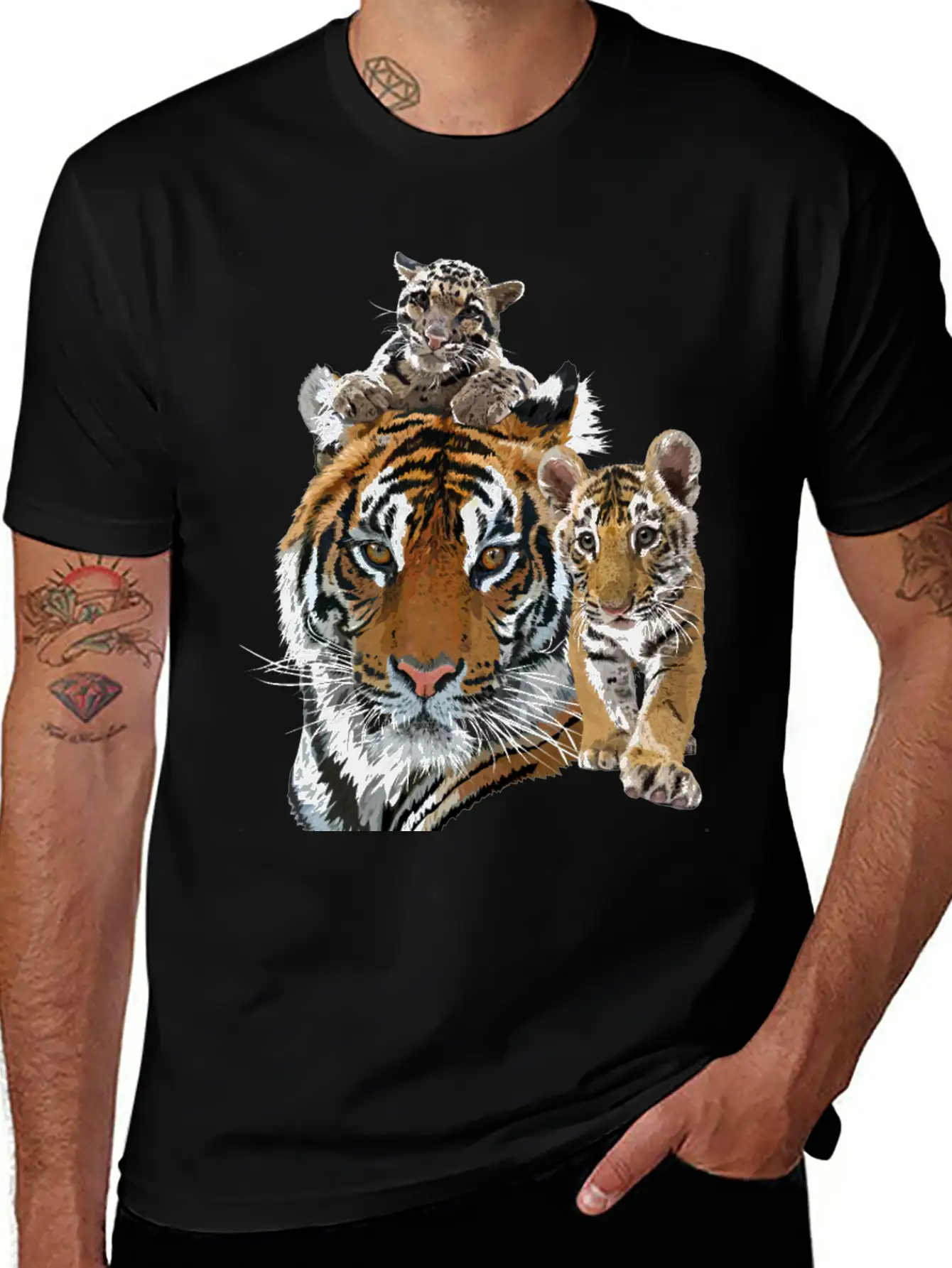 Bengal Tiger And Hazy Tiger Modern Fit Casual T-Shirt – Clean And Versatile Design