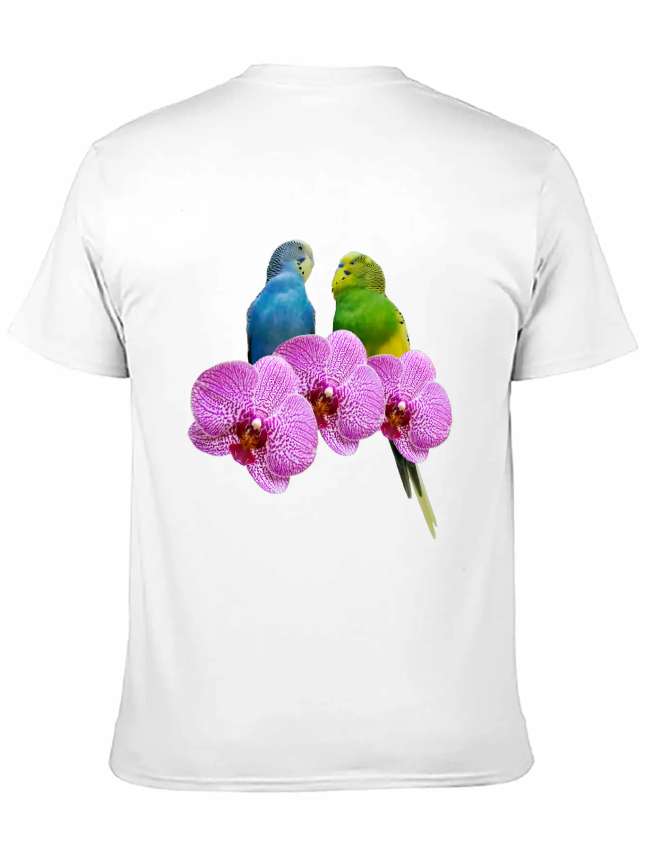 Budgie Budgerigar With Purple Orchid Classic Cotton Tee – Unisex Comfort For Any Season