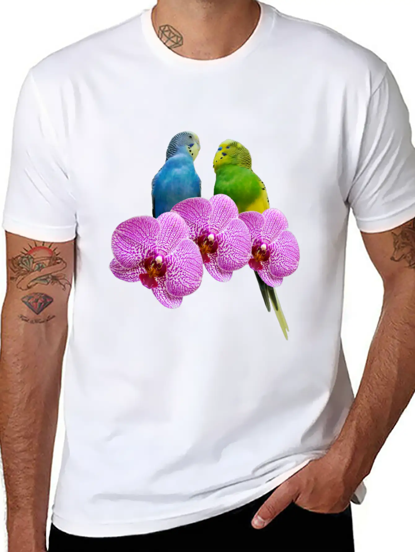 Budgie Budgerigar With Purple Orchid Classic Cotton Tee – Unisex Comfort For Any Season