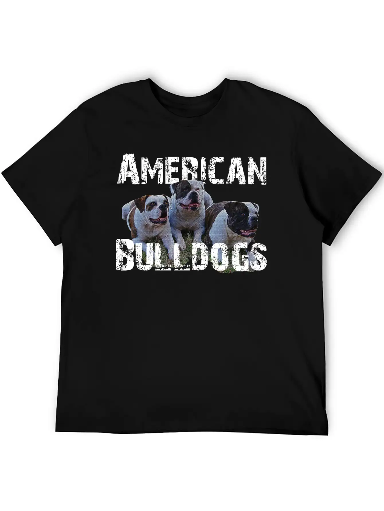 Bulldogs,dog Holder, Dog Lover, Animals, Watchdog Basic Graphic T-Shirt – Daily Comfort In Soft Cotton