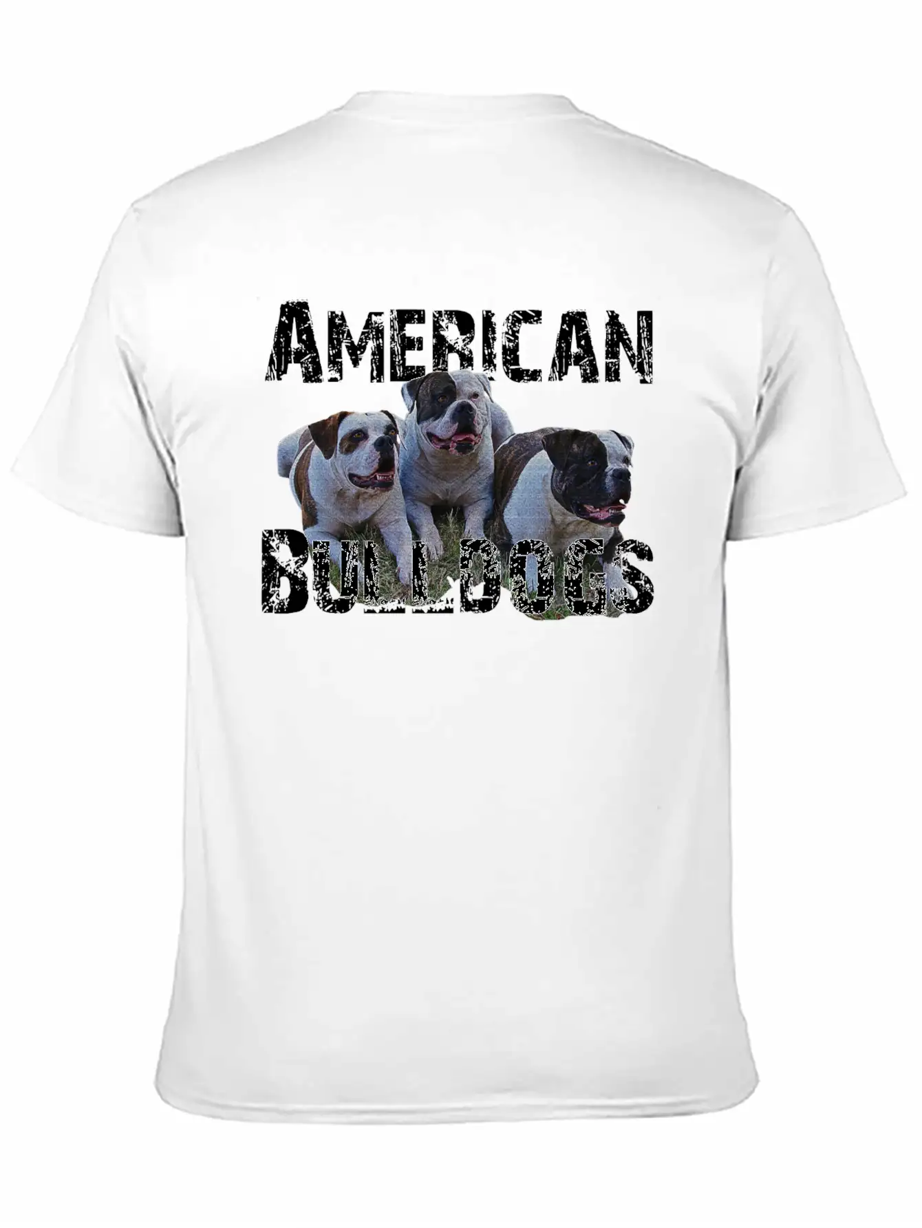 Bulldogs,dog Holder, Dog Lover, Animals, Watchdog Basic Graphic T-Shirt – Daily Comfort In Soft Cotton
