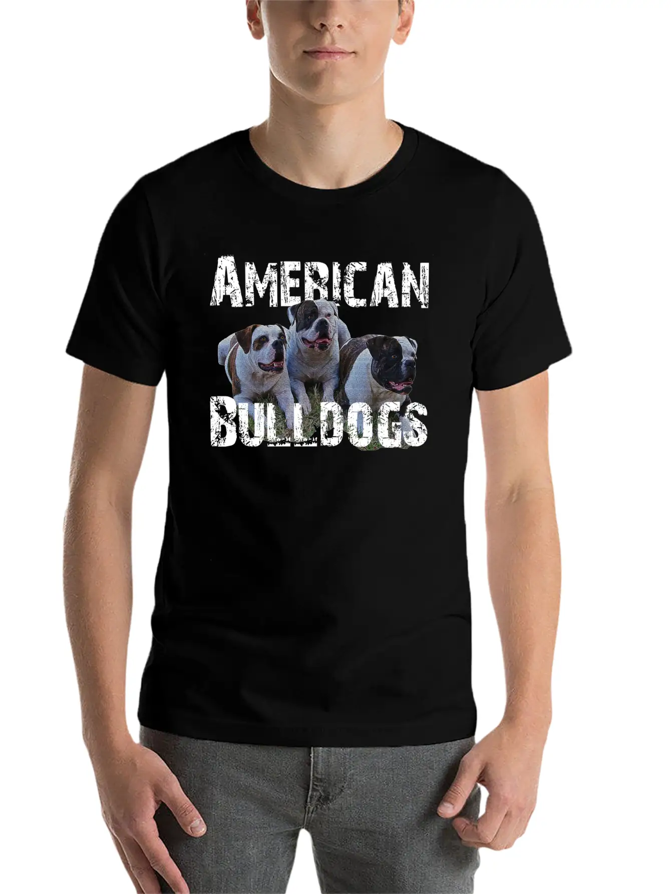 Bulldogs,dog Holder, Dog Lover, Animals, Watchdog Basic Graphic T-Shirt – Daily Comfort In Soft Cotton