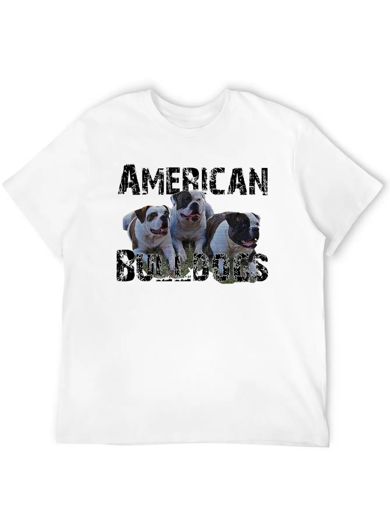 Bulldogs,dog Holder, Dog Lover, Animals, Watchdog Basic Graphic T-Shirt – Daily Comfort In Soft Cotton