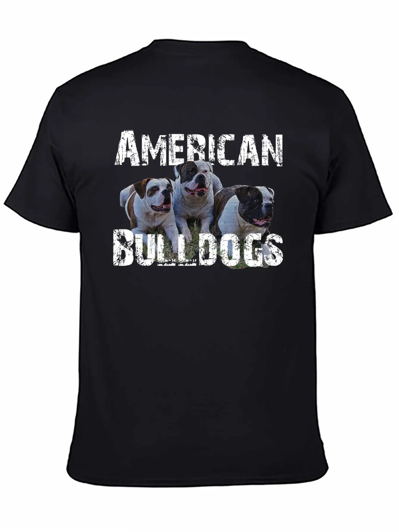 Bulldogs,dog Holder, Dog Lover, Animals, Watchdog Basic Graphic T-Shirt – Daily Comfort In Soft Cotton