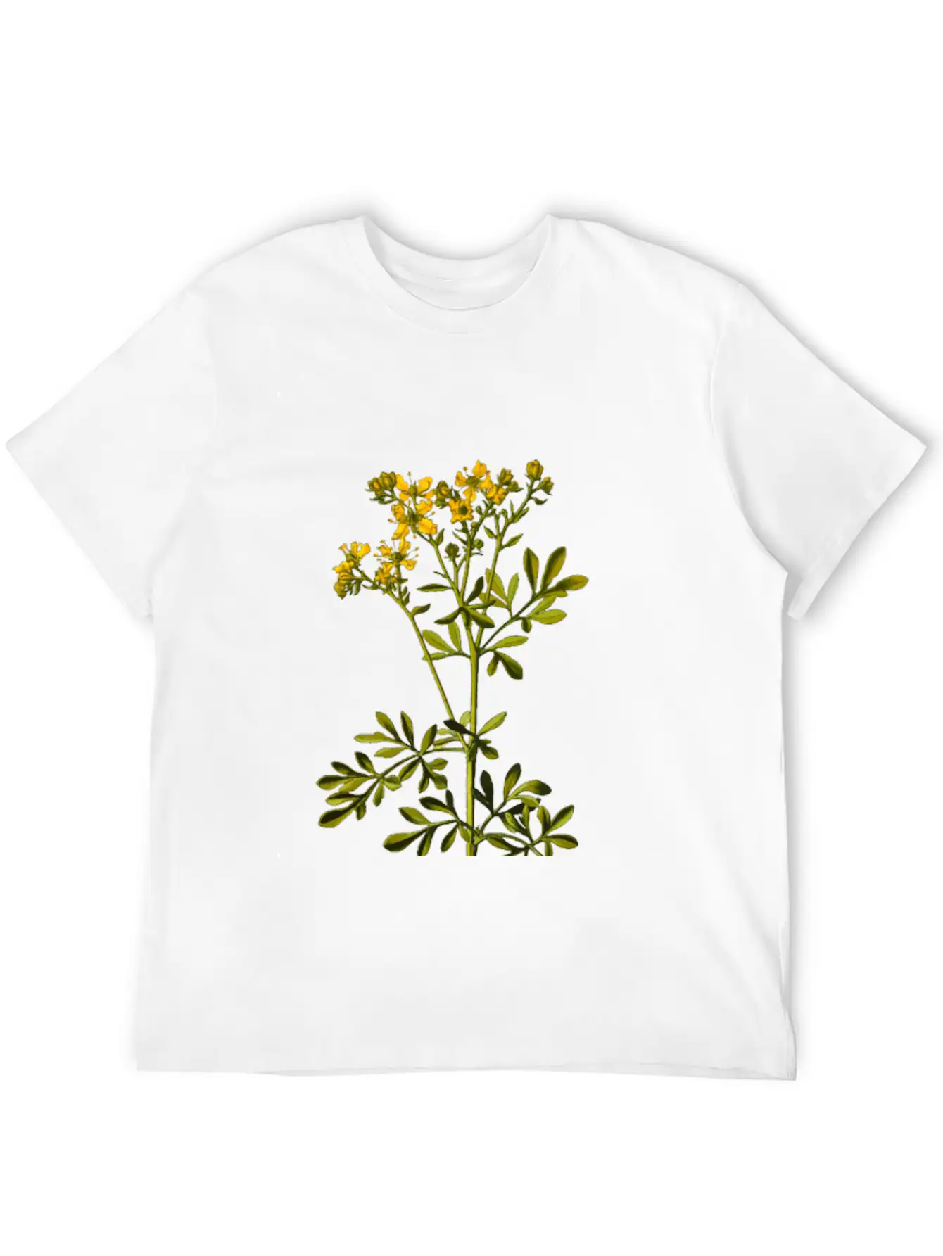 Common Rue (detailed) Breathable Soft Cotton T-Shirt – Timeless Casual Look
